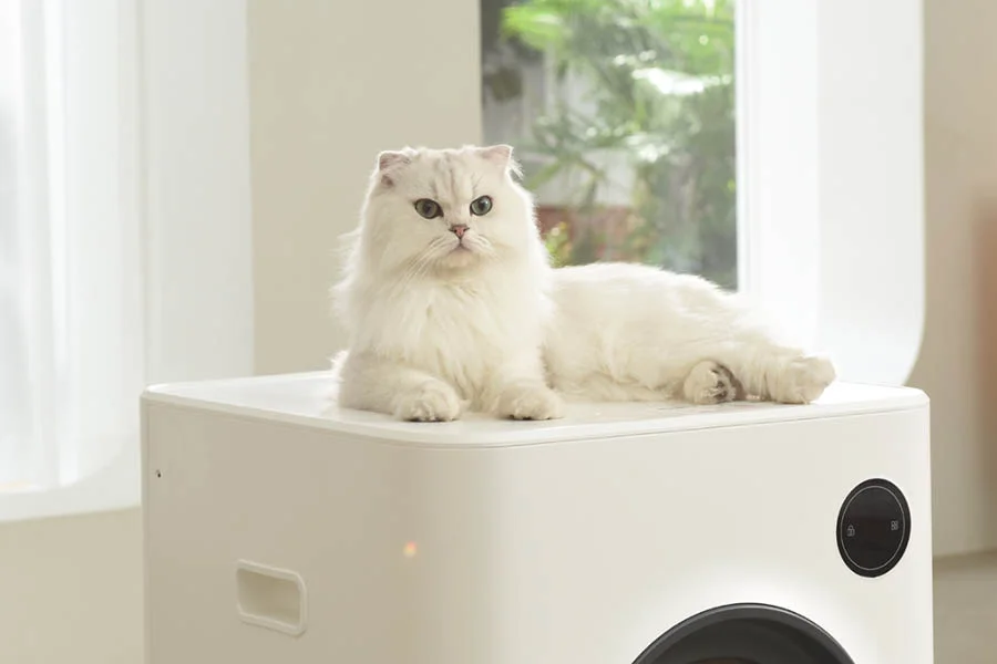 self cleaning litter box review